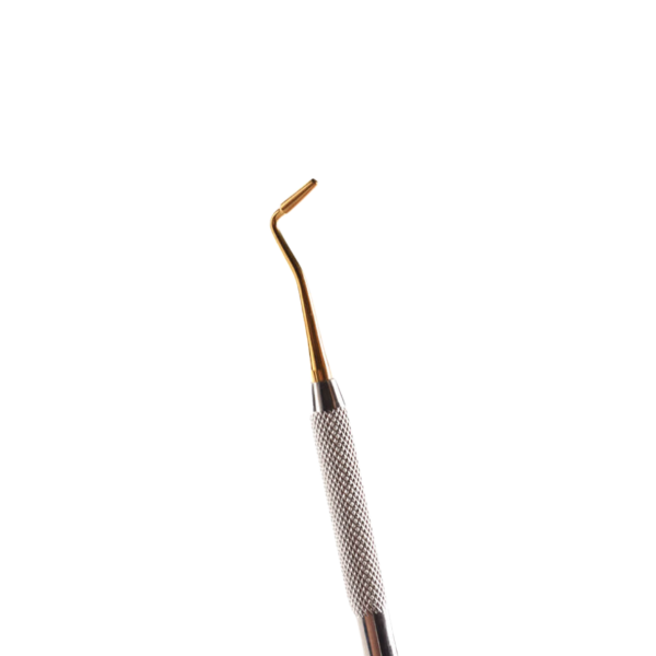posterior2_c2_bioclear