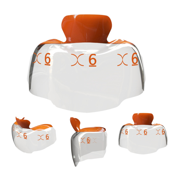 posterior_evolve_narancs6_bioclear